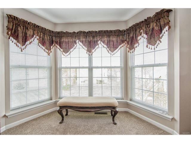 105 Eagle Cv, Saint Charles, MO 63303 photo 11