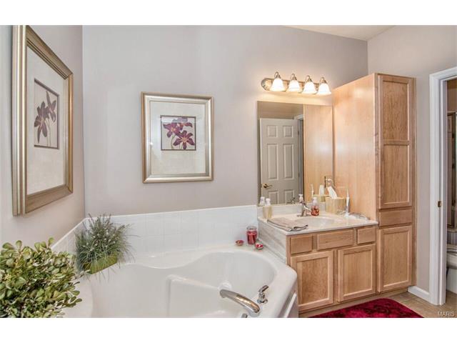 105 Eagle Cv, Saint Charles, MO 63303 photo 12