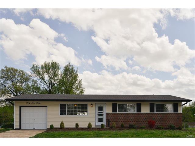 3330 Fee Fee Rd, Bridgeton, MO 63044 photo 1