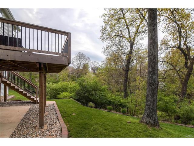 202 Oakwood Ter, Ballwin, MO 63021 photo 30