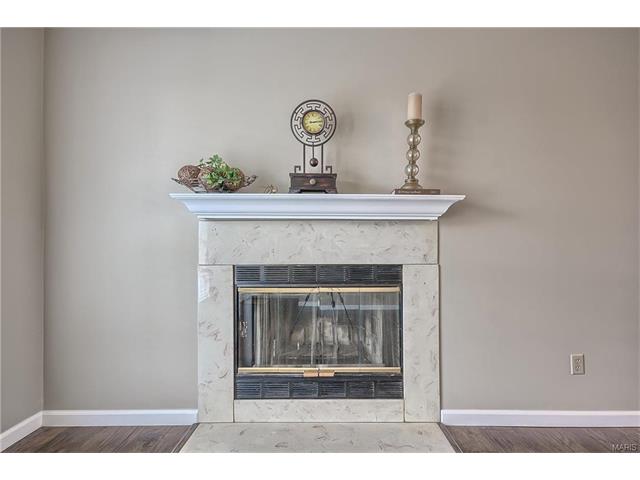 117 Bonnybridge Ct, Ellisville, MO 63021 photo 7