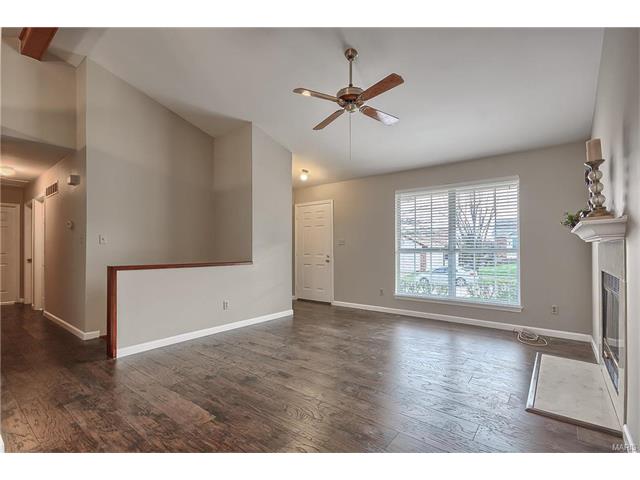 117 Bonnybridge Ct, Ellisville, MO 63021 photo 5