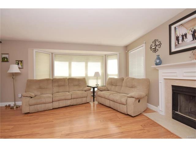 202 Cascade Terrace Dr, Ballwin, MO 63021 photo 8