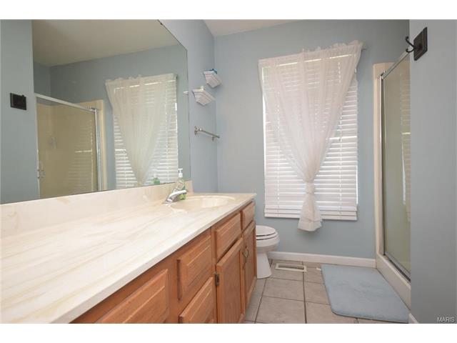 202 Cascade Terrace Dr, Ballwin, MO 63021 photo 13