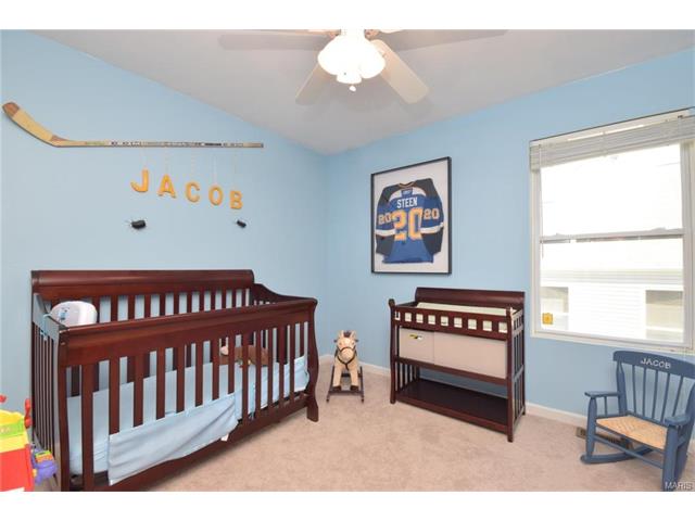 202 Cascade Terrace Dr, Ballwin, MO 63021 photo 14