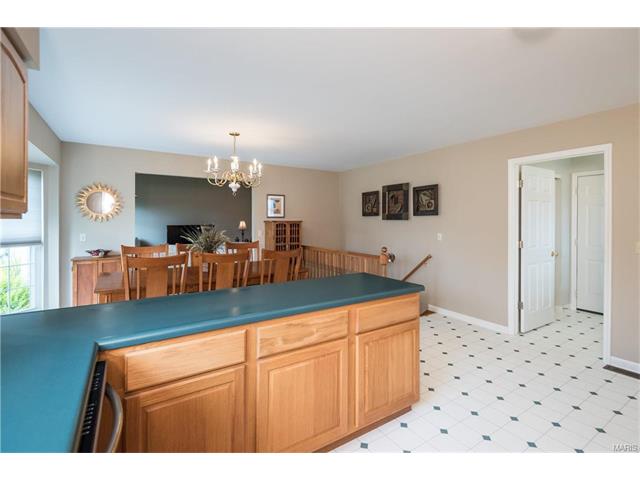 1237 Summer Lynne Dr, O'fallon, MO 63366 photo 13