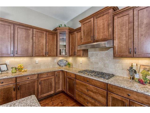 2015 Paul Renaud, Lake Saint Louis, MO 63367 photo 10