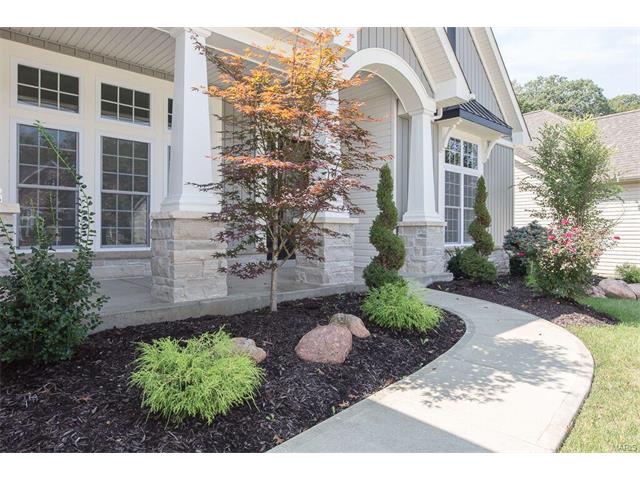 2015 Paul Renaud, Lake Saint Louis, MO 63367 photo 43