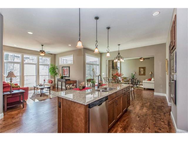 2015 Paul Renaud, Lake Saint Louis, MO 63367 photo 14