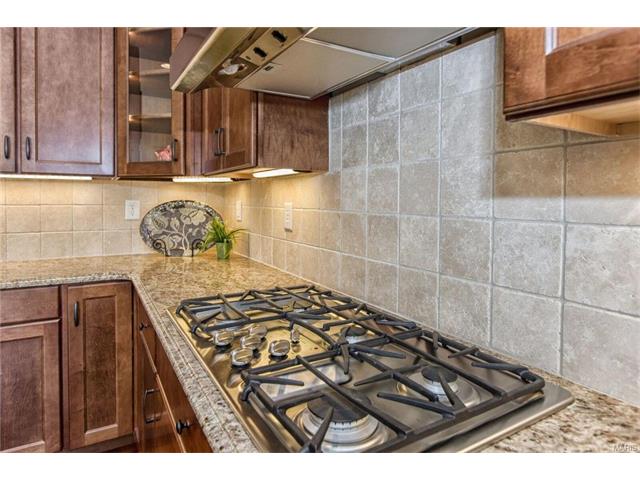 2015 Paul Renaud, Lake Saint Louis, MO 63367 photo 11