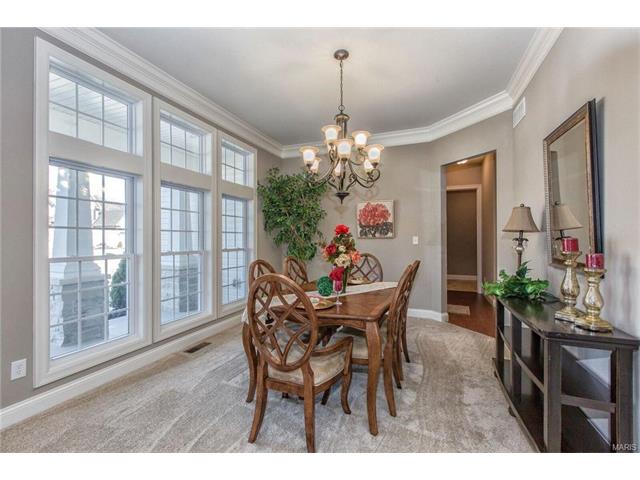 2015 Paul Renaud, Lake Saint Louis, MO 63367 photo 20