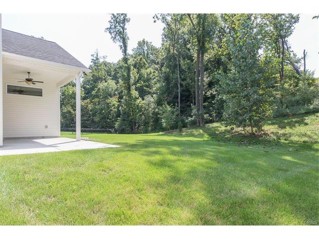 2015 Paul Renaud, Lake Saint Louis, MO 63367 photo 41
