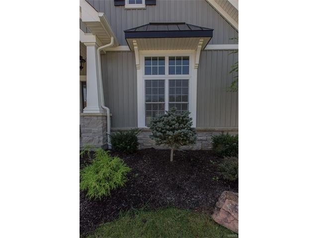 2015 Paul Renaud, Lake Saint Louis, MO 63367 photo 44