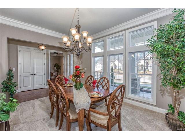 2015 Paul Renaud, Lake Saint Louis, MO 63367 photo 19