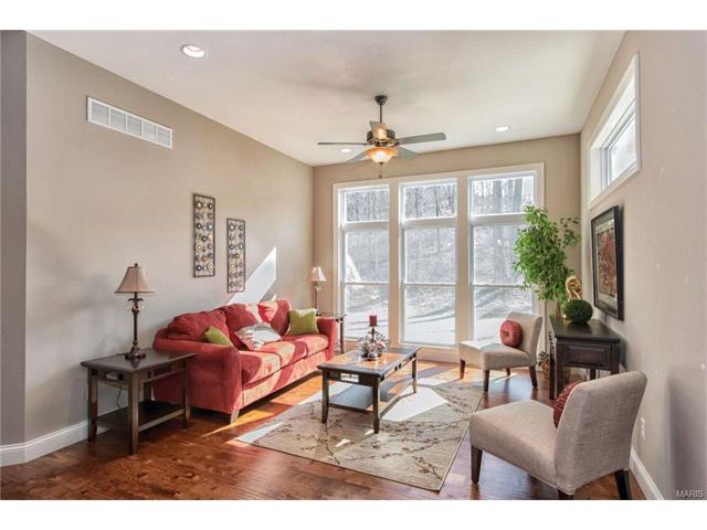 2015 Paul Renaud, Lake Saint Louis, MO 63367 photo 18