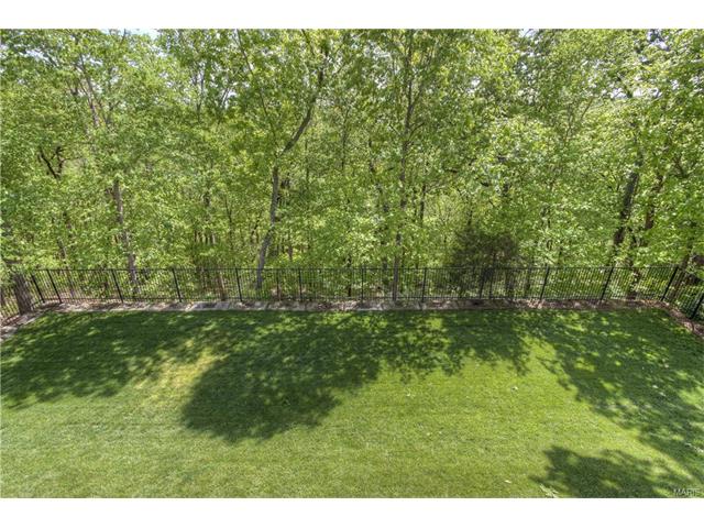 1038 Kiefer Ridge Dr, Ballwin, MO 63021 photo 44