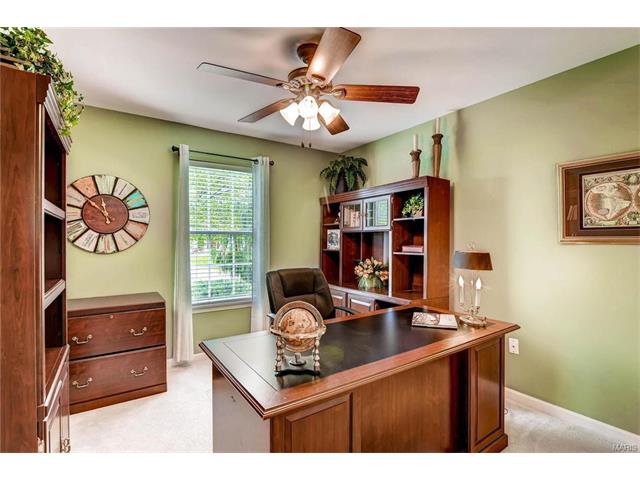 16338 Black Cherry Dr, Grover, MO 63040 photo 21