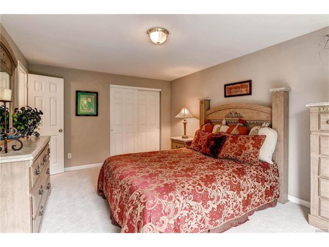 16338 Black Cherry Dr, Grover, MO 63040 photo 29