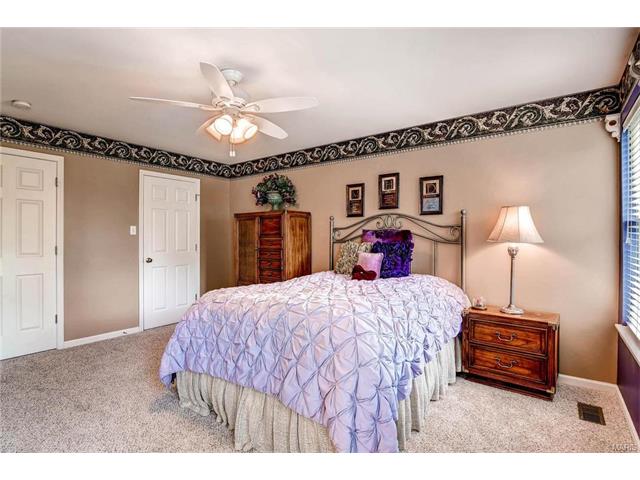 16338 Black Cherry Dr, Grover, MO 63040 photo 15