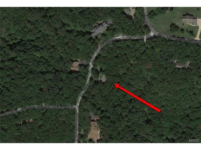 1314 Bear Canyon Rd, Ballwin, MO 63021 photo 53