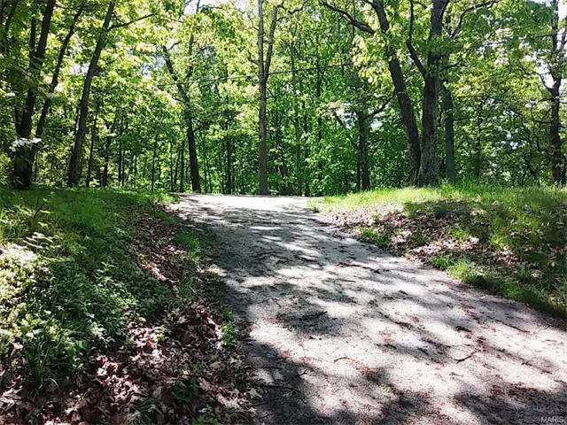 1314 Bear Canyon Rd, Ballwin, MO 63021 photo 12