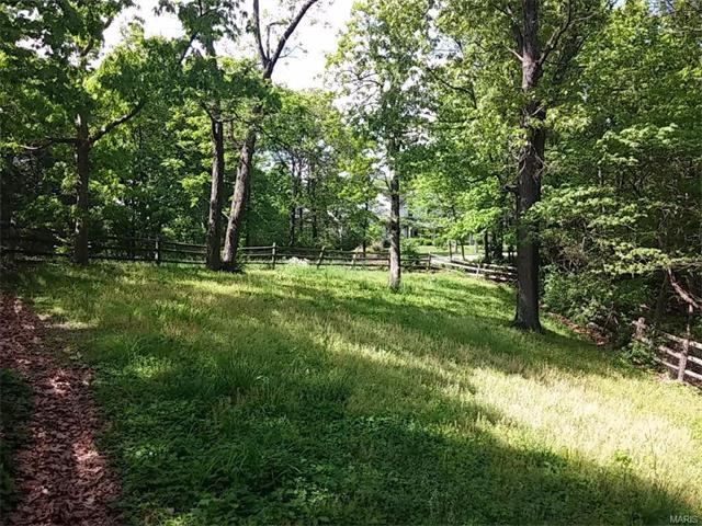 1314 Bear Canyon Rd, Ballwin, MO 63021 photo 13