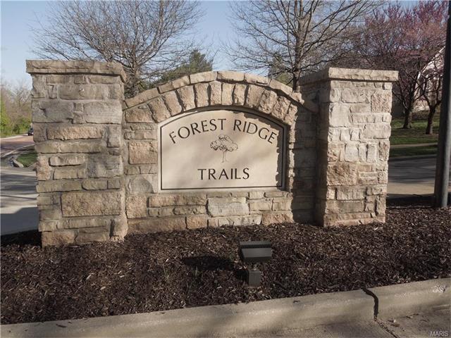 981 Timber Gln, Ballwin, MO 63021 photo 46