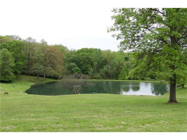 621 Spring Meadow Dr, Ballwin, MO 63011 photo 23