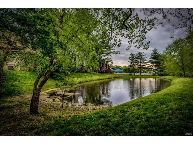 711 Turtle Cv, Ballwin, MO 63011 photo 26