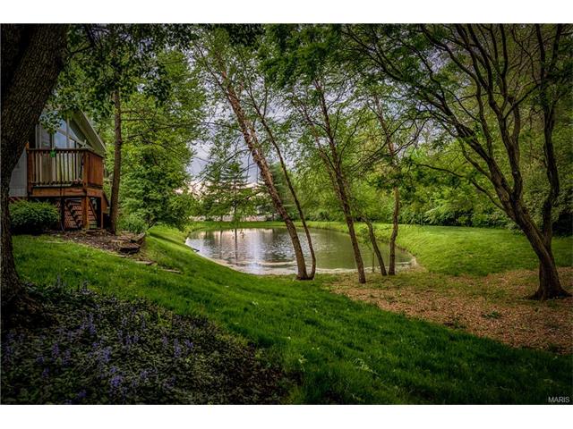711 Turtle Cv, Ballwin, MO 63011 photo 25