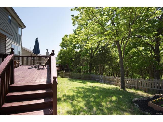 767 Top Notch Ln, Eureka, MO 63025 photo 18