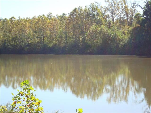 2 Doe Valley Ct, O'fallon, MO 63366 photo 37