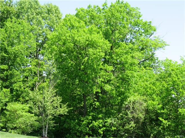 2 Doe Valley Ct, O'fallon, MO 63366 photo 33