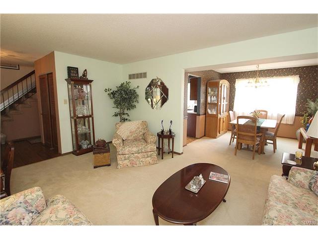 717 Oak Meadows Ct, Ballwin, MO 63021 photo 4