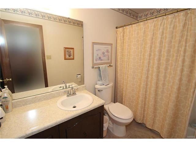 717 Oak Meadows Ct, Ballwin, MO 63021 photo 17