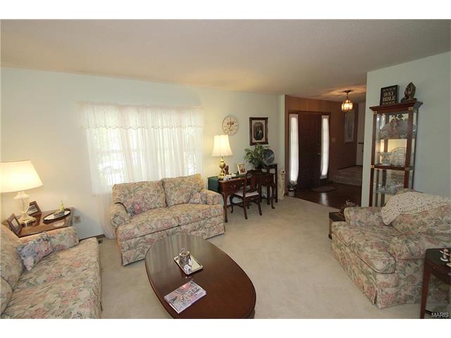 717 Oak Meadows Ct, Ballwin, MO 63021 photo 5