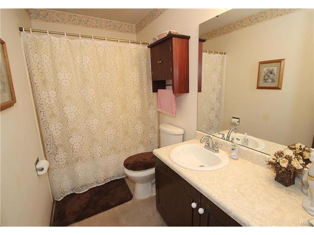 717 Oak Meadows Ct, Ballwin, MO 63021 photo 20