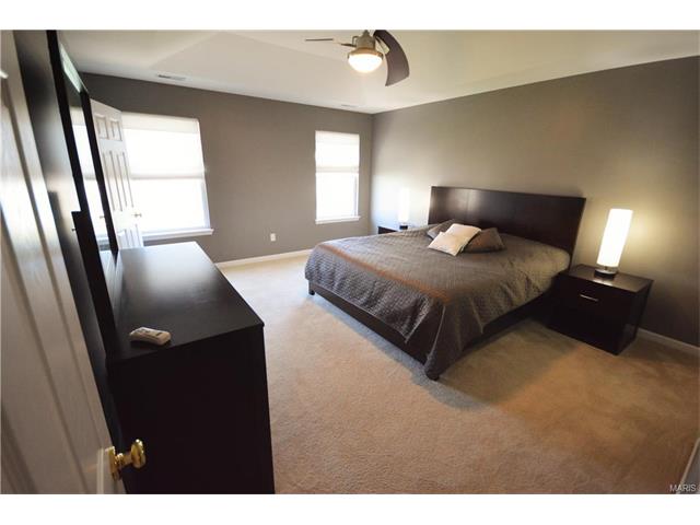 308 Wild Oak Dr, O'fallon, MO 63368 photo 4