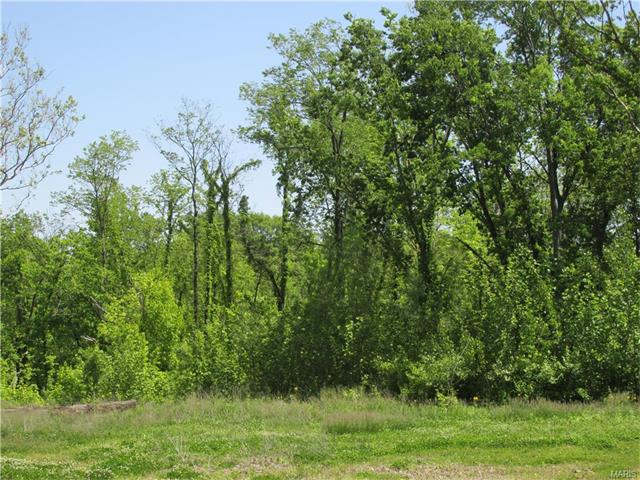 610 Blanche Dr, Saint Charles, MO 63303 photo 16