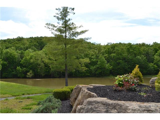 158 Beard #A, Eureka, MO 63025 photo 33