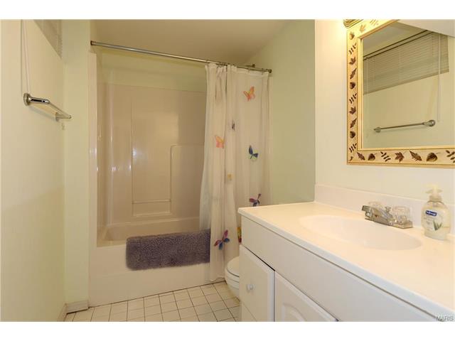 16463 Fullerton Meadows Dr, Ballwin, MO 63011 photo 24