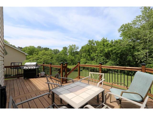 16463 Fullerton Meadows Dr, Ballwin, MO 63011 photo 30