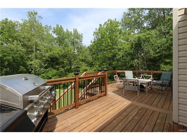 16463 Fullerton Meadows Dr, Ballwin, MO 63011 photo 29