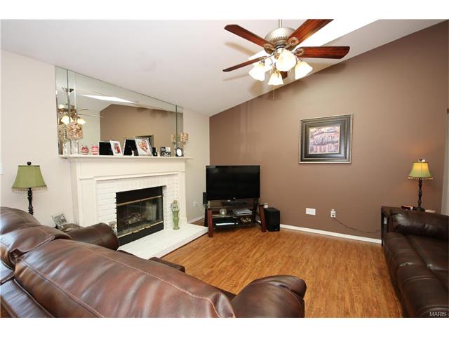 16544 Birch Forest Dr, Ballwin, MO 63011 photo 19