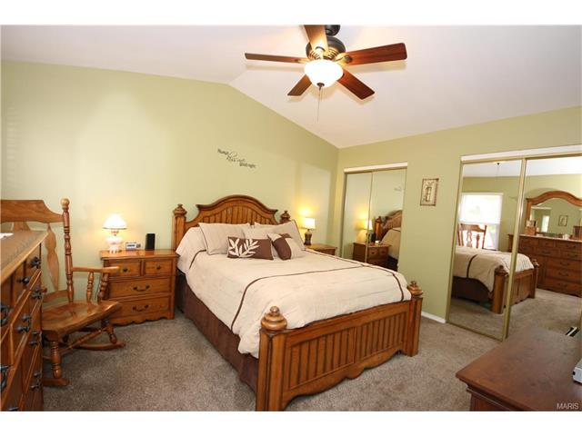 16544 Birch Forest Dr, Ballwin, MO 63011 photo 21