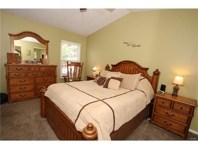 16544 Birch Forest Dr, Ballwin, MO 63011 photo 23
