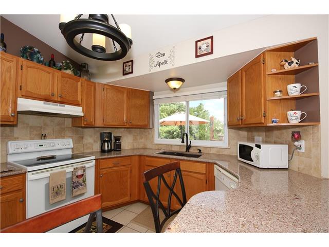 16544 Birch Forest Dr, Ballwin, MO 63011 photo 15