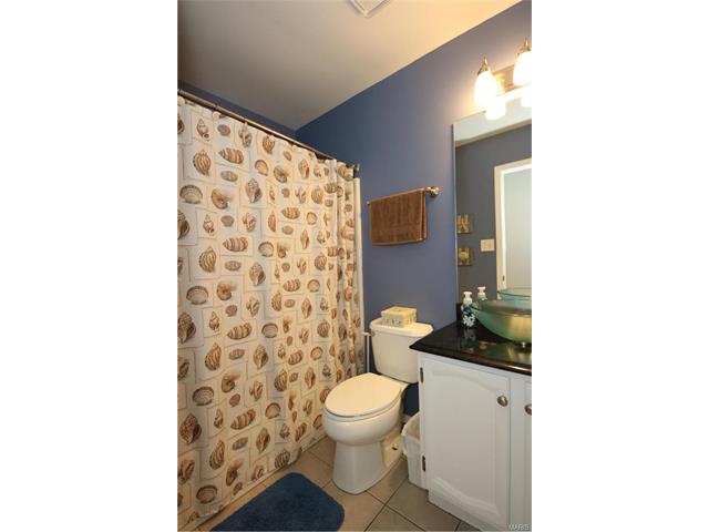 16544 Birch Forest Dr, Ballwin, MO 63011 photo 26