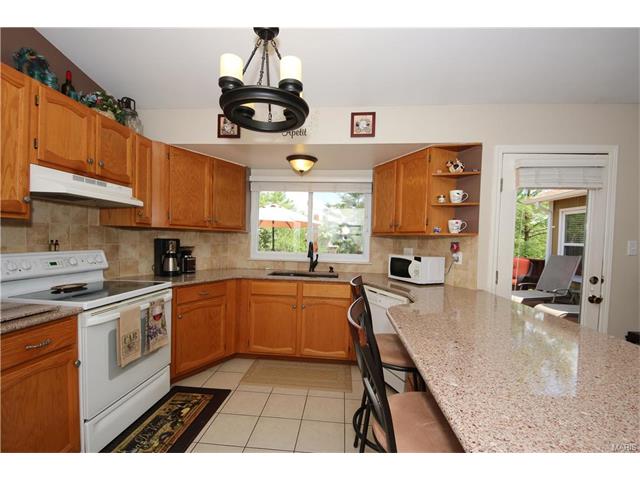 16544 Birch Forest Dr, Ballwin, MO 63011 photo 14