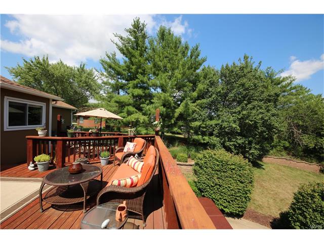 16544 Birch Forest Dr, Ballwin, MO 63011 photo 5